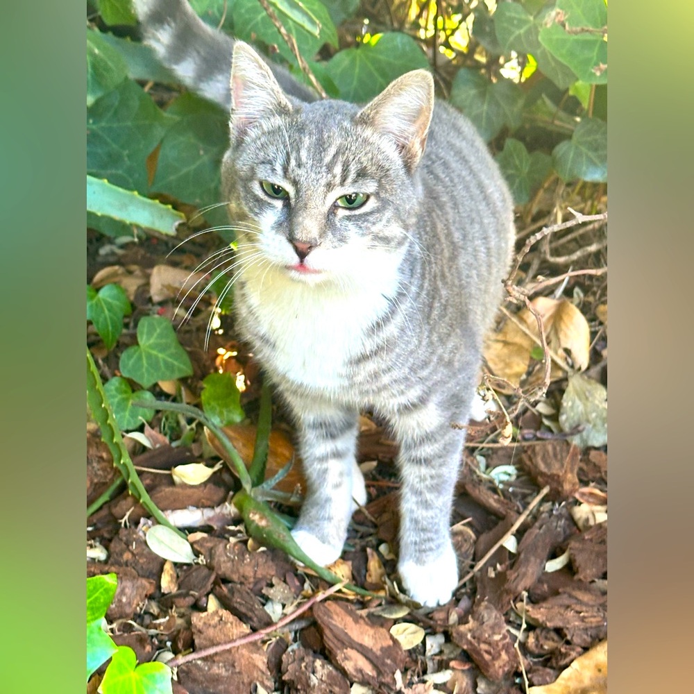 Meet your Posher, Linda